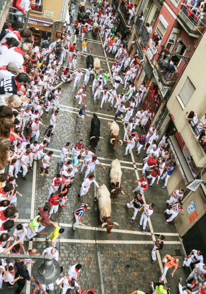 End of Calle Estafeta - runners trying to keep pace with the bulls. Three cabestros out front, black bulls running up the street. View from a balcony.