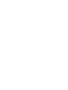 Diario de Navarra logo - Encierro featured in Navarra regional newspaper