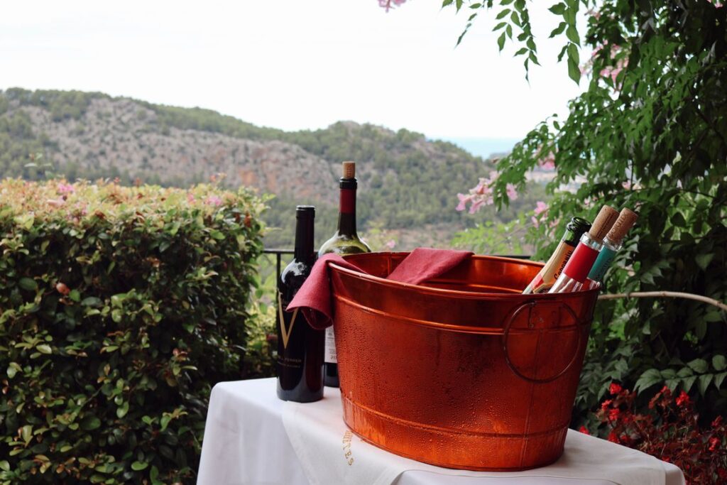 Outdoor wine tasting with mountain backdrop in Spain, navarra wine region