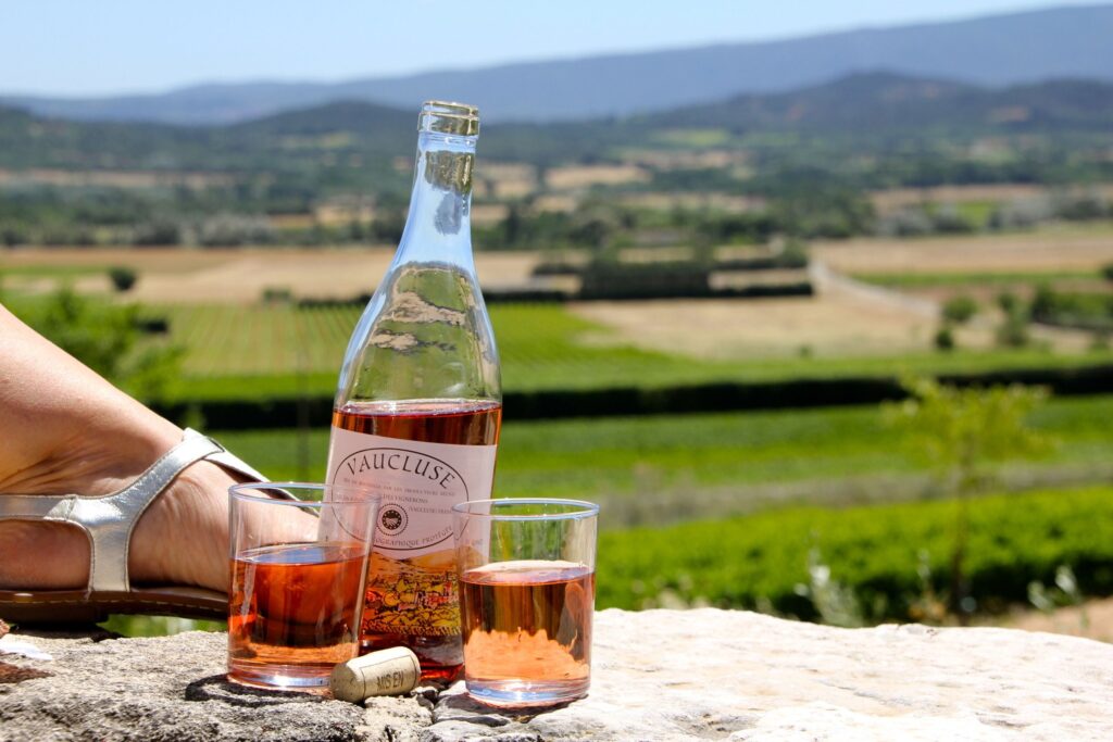 Glass of rosado de Navarra wine with vineyard backdrop, Navarra Spain
