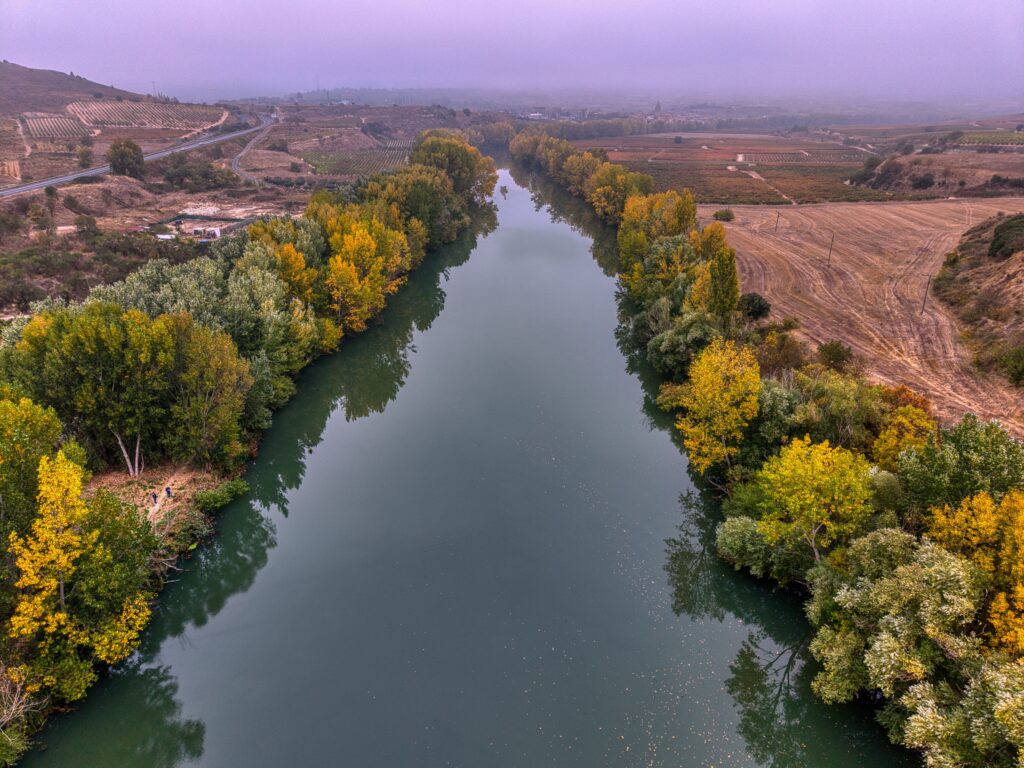 La Rioja vineyards along the Ebro river near Haro, home of the Batalla del Vino