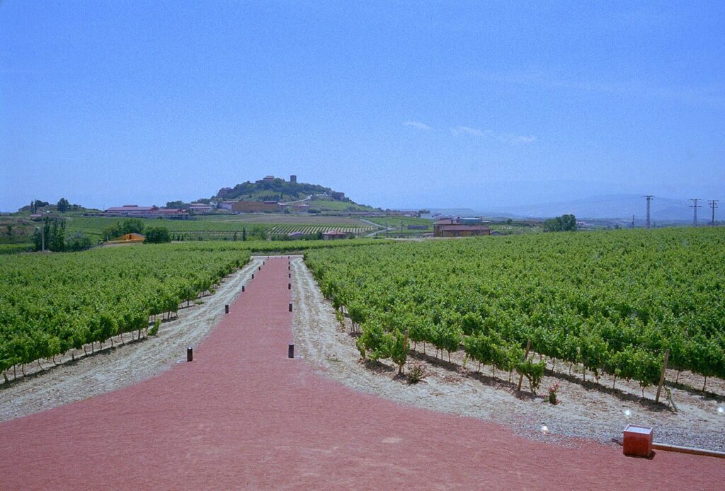 Bodegas Ysios winery wave-shaped concrete walls, Rioja Alavesa, Laguardia