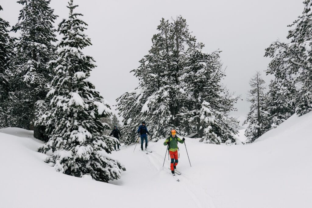 Cross-country skiers on a snow-covered forest trail, Navarra Pyrenees