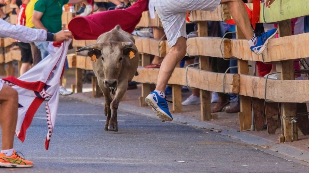 Runner dodging a charging bull during a Pamplona bull run, San Fermín festival