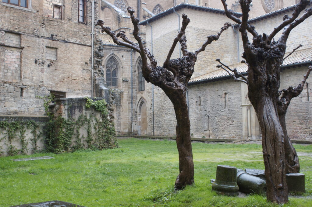 Catedral de Santa María, seat of Pamplona's Navarrería borough before the 1423 union