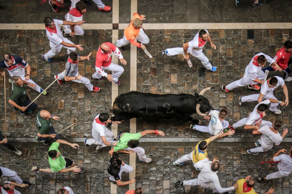 Overhead view of runners and bulls on the running of the bulls route, Pamplona San Fermin