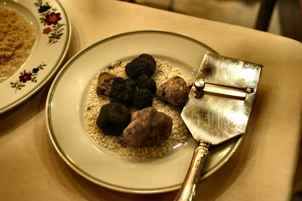 Fresh black truffles and a shaver on a plate, trufa negra Navarra season